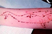 Blue Whale Challenge: Class VI student hangs himself to death